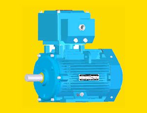 南陽(yáng)YB2E80～355隔爆型三相異步電動(dòng)機(jī)